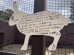 円山動物園のエゾウサギ説明文