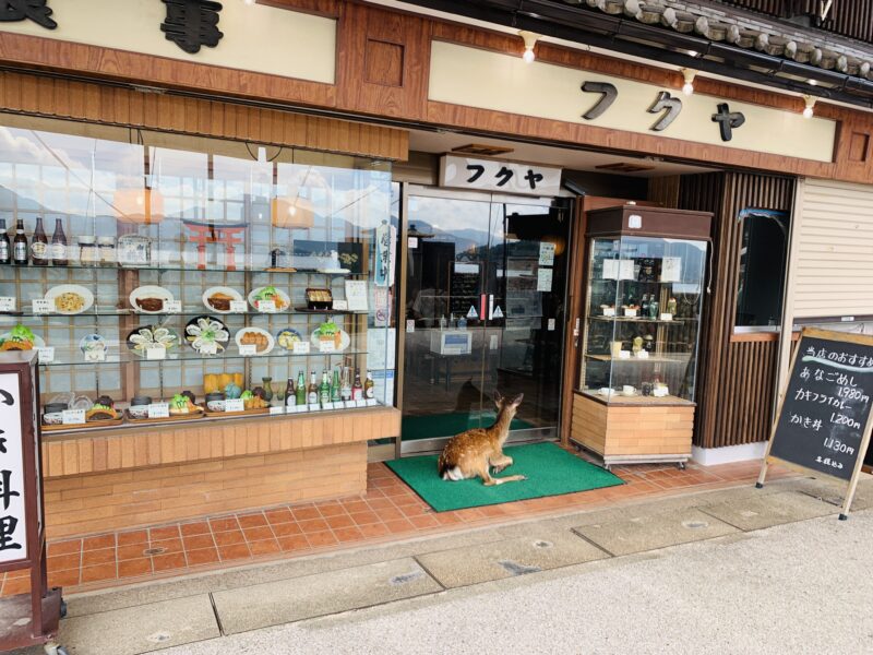 鹿が店前でひと休み