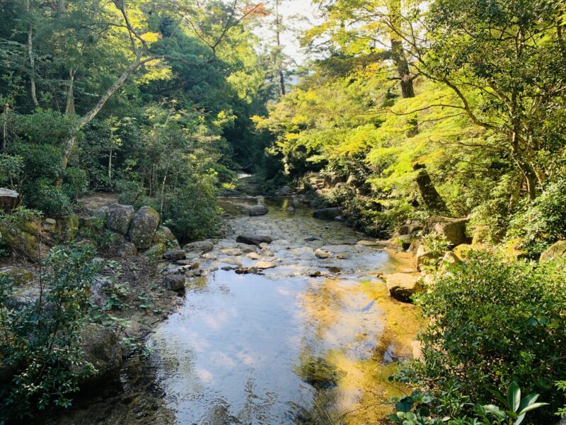 宮島ロープウェー乗り場からの道中