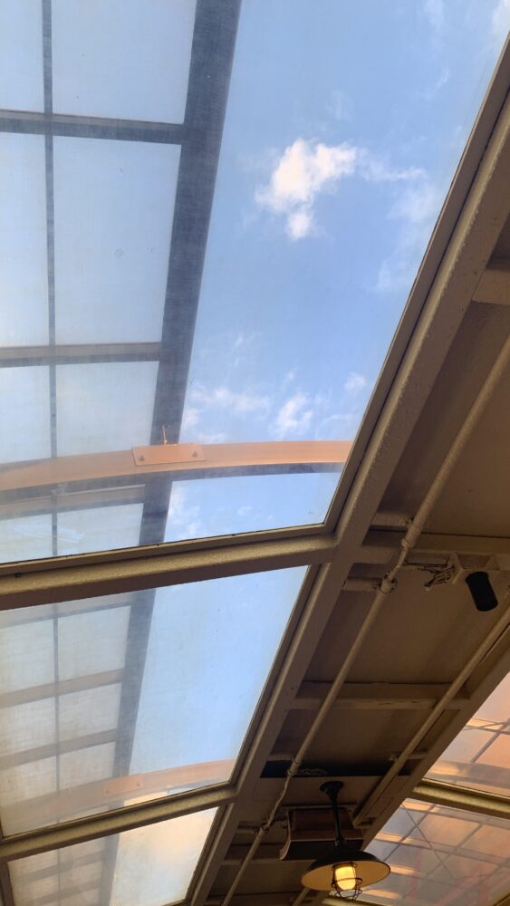 嵯峨野トロッコ列車のリッチ号の屋根