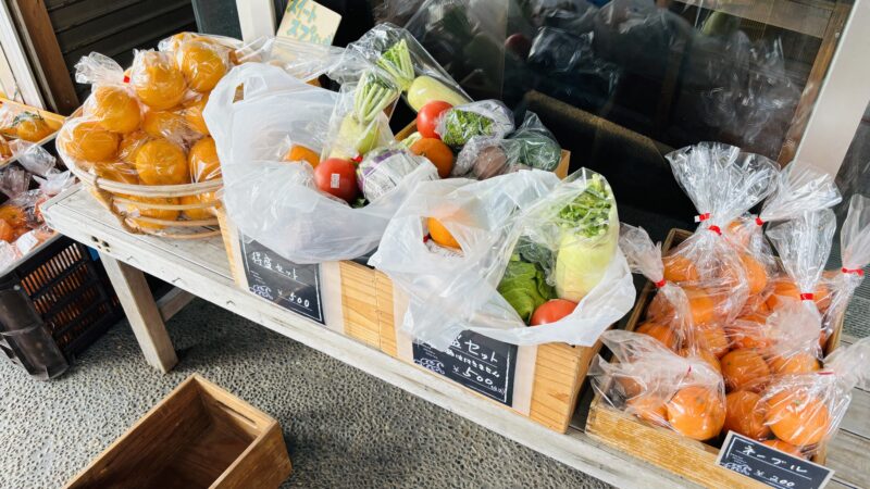 茜・千畳茶屋の野菜の特盛セット