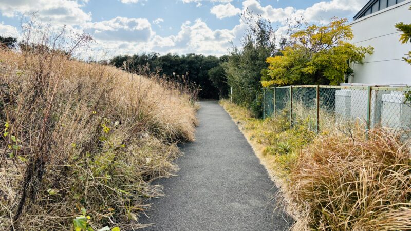 千畳敷から三段壁までの道