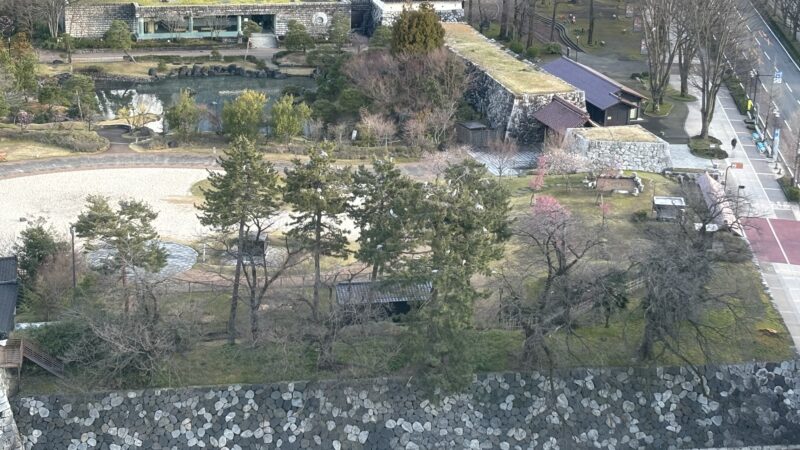 ANAクラウンプラザホテル富山から見える富山城址公園の桜