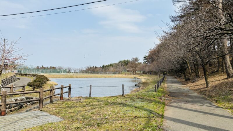 姫川駅からフォッサマグナミュージアムまで歩いた道の途中にあった池
