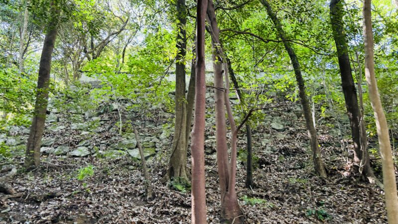 岩国城までの山道で見えた石垣