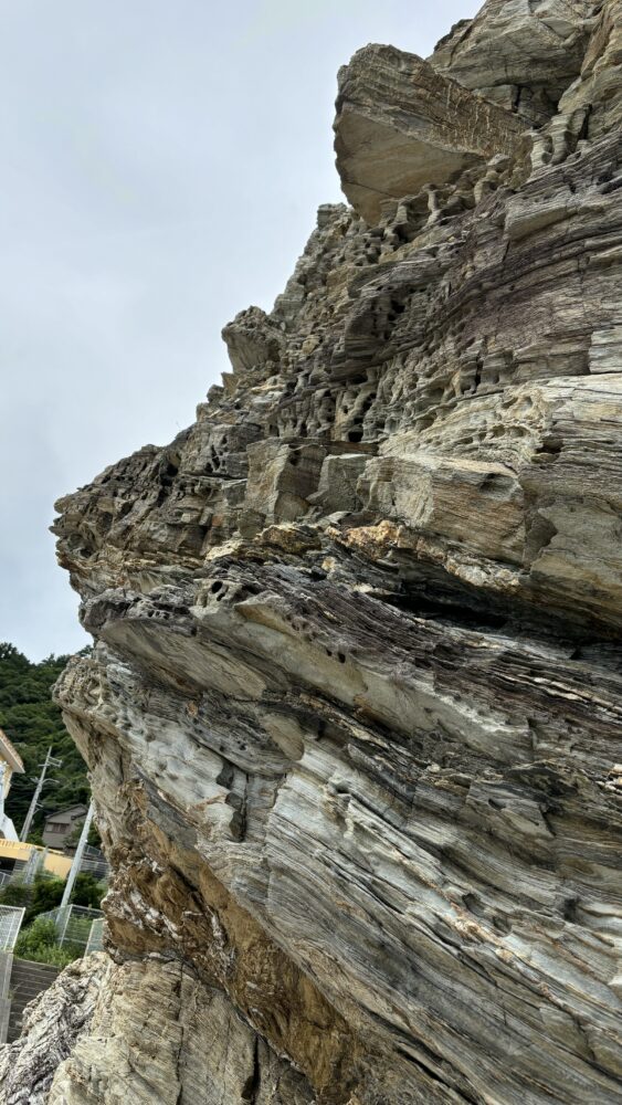 和歌の浦にある蓬莱岩の岩肌の様子