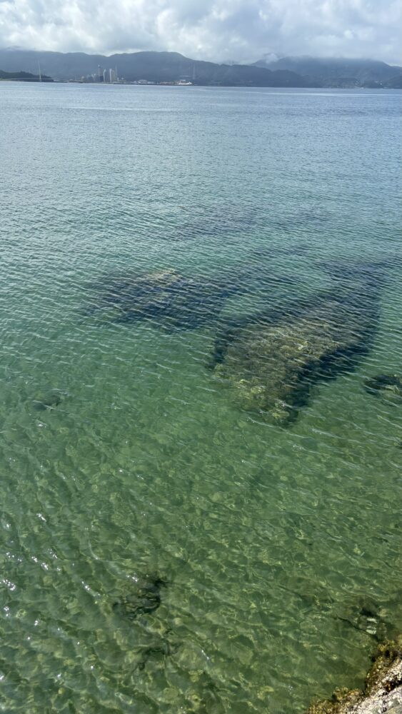 和歌浦の海