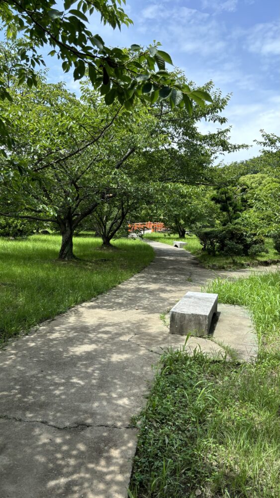 御手洗池公園のベンチ