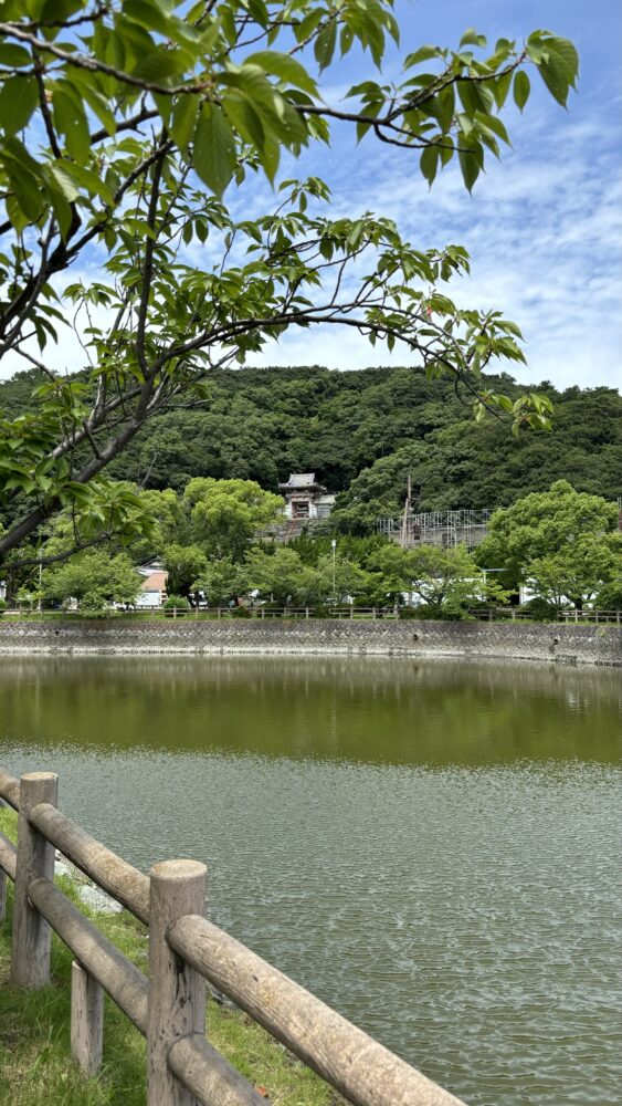 御手洗池公園から見る和歌浦天満宮の楼門