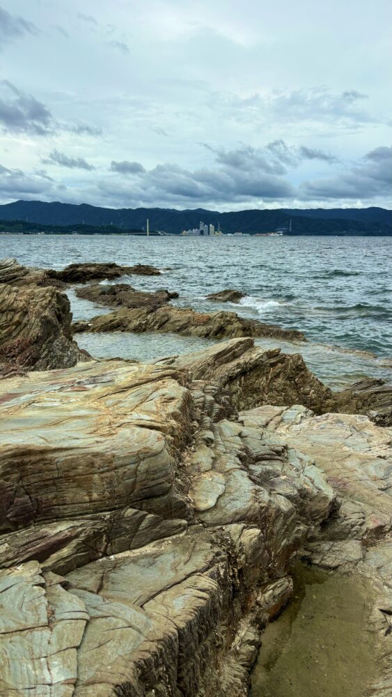 和歌の浦にある蓬莱岩の岩肌の様子