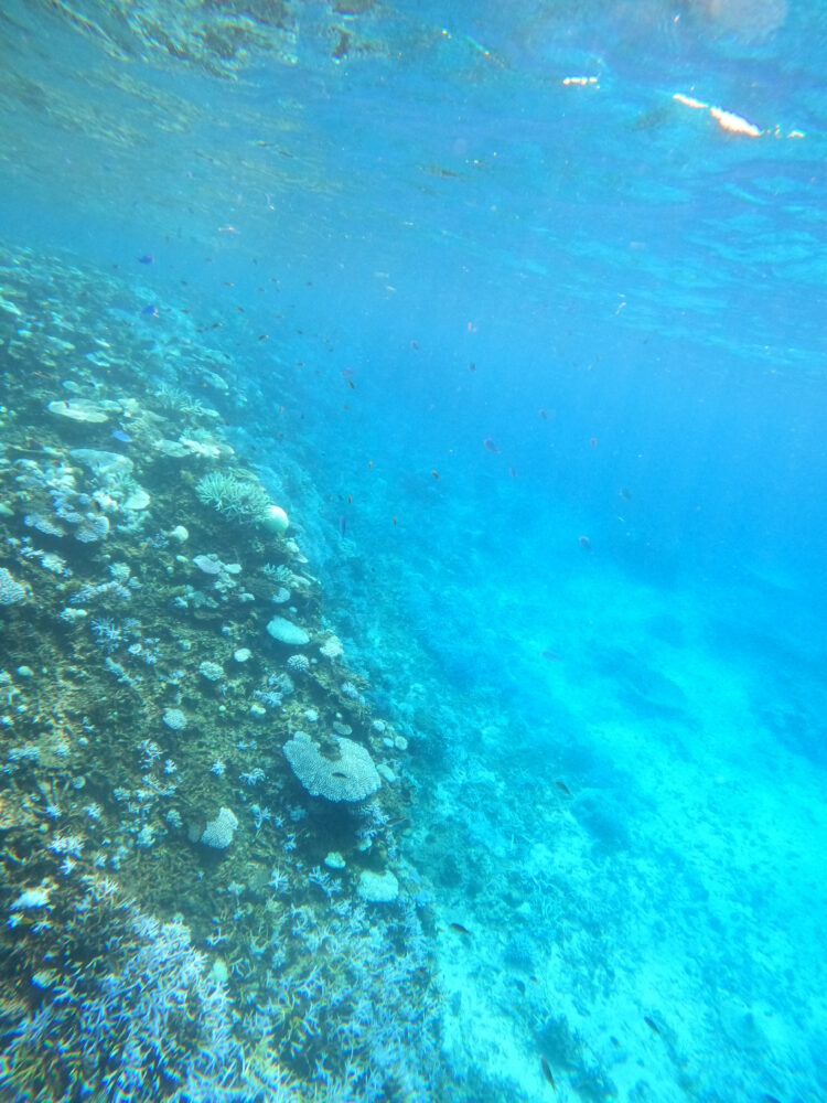 八重干瀬の海の様子