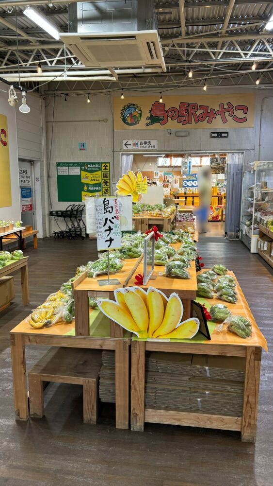 島の駅みやこ本店の島バナナコーナー