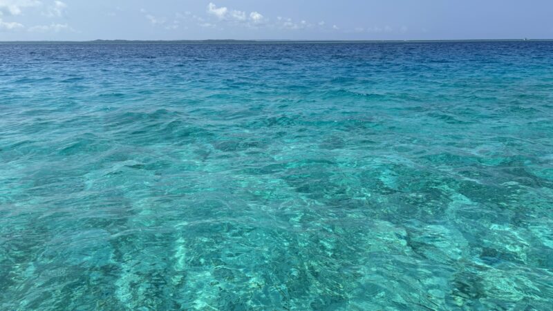 八重干瀬の海