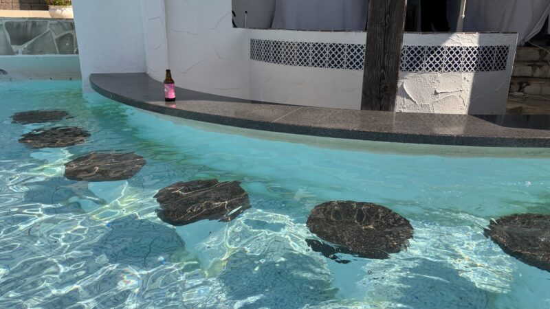 都リゾート志摩ベイサイドテラスのプールサイドバーの椅子