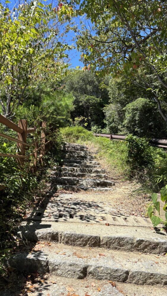 横山ビジターセンターから横山展望台までの道中