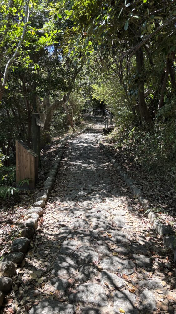 横山ビジターセンターから横山展望台までの道中