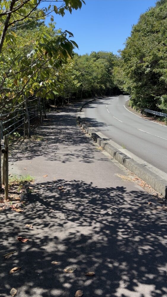 横山展望台までの道中の歩道